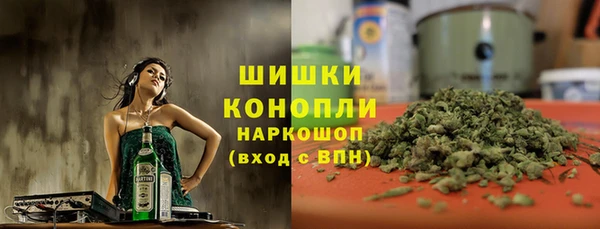 Альфа ПВП Аркадак