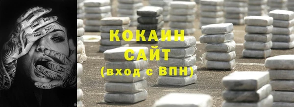 Альфа ПВП Аркадак