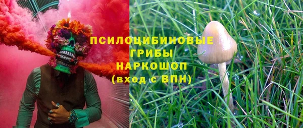 Альфа ПВП Аркадак
