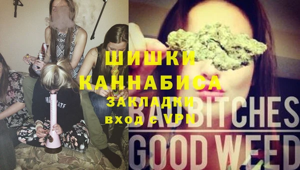 Альфа ПВП Аркадак