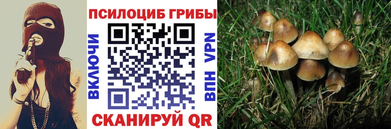 Галлюциногенные грибы ЛСД магазин продажи наркотиков ОМГ ОМГ как войти Перевоз